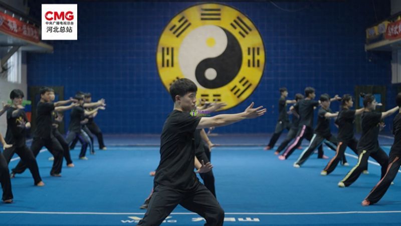 The Chinese Bagua Palm Technique has endless variations. It's like the wind in your step.