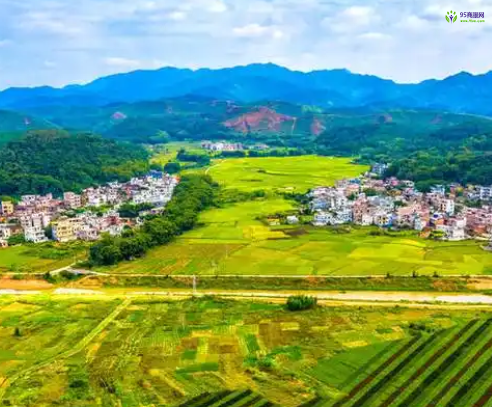 Wuzhou Municipal Bureau of Agriculture and Rural Affairs