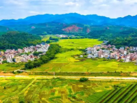 Wuzhou Municipal Bureau of Agriculture and Rural Affairs