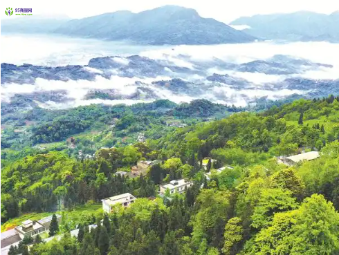 Fangchenggang Municipal Forestry and Grassland Bureau